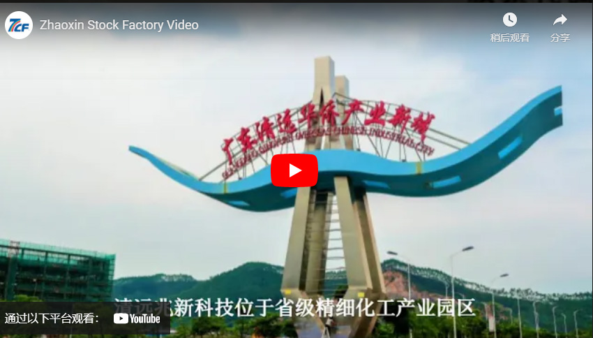 Vídeo de la fábrica de Zhaoxin Stock